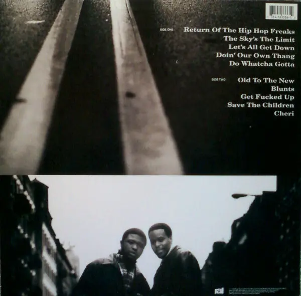 Nice & Smooth - Jewel Of The Nile, Hip Hop, 1994 - Rush Associated Labels, US, Vinyl 1x LP, Album