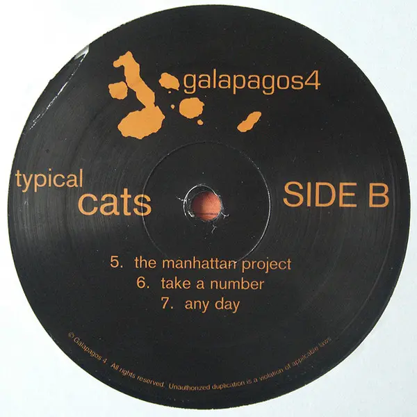 Typical Cats - Typical Cats, Hip Hop, Conscious, 2001 - Galapagos4, US, Vinyl 1x LP, Album