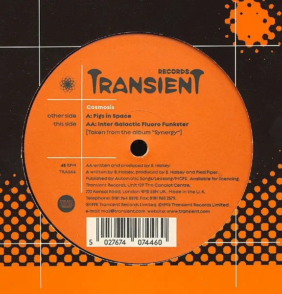 Pigs In Space / Intergalactic Fluoro Funkster