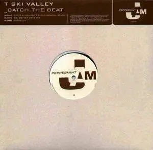 T-Ski Valley - Catch The Beat (Dimi's Mousse T's Old School Remix), Electronic, Disco, Hip-House, House, 2002 - Peppermint Ja