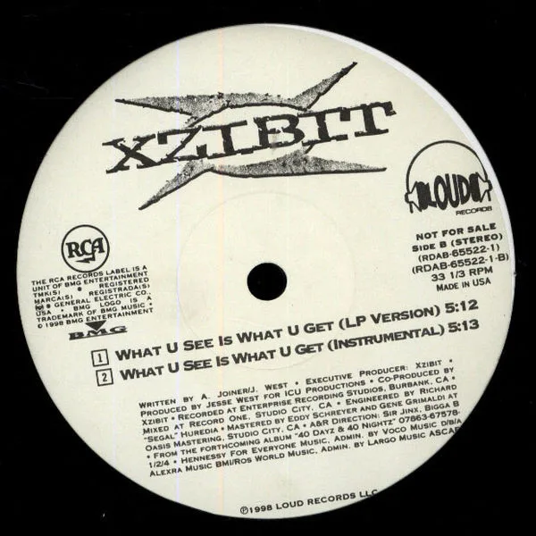 Album cover for What U See Is What U Get by Xzibit