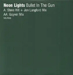 Bullet In The Gun