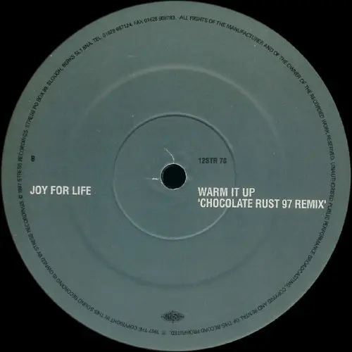 Joy For Life - Watcha Gonna Do / Warm It Up, Electronic, House, 1997 - Stress Records, UK, Vinyl 1x 12"