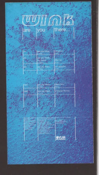 Album cover for Are You There... by Josh Wink