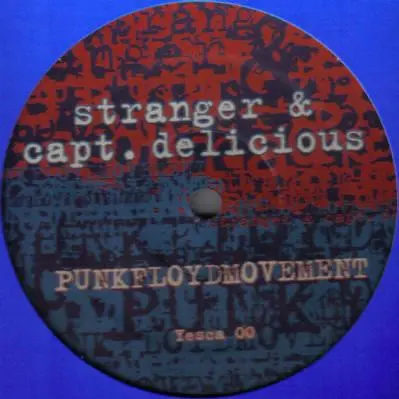 I'm An Indian Too / Punkfloydmovement