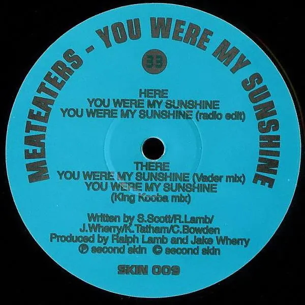 You Were My Sunshine