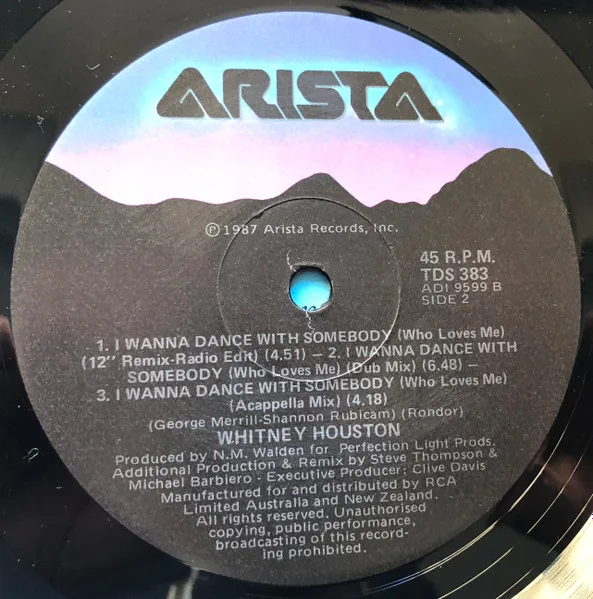 Album cover for I Wanna Dance With Somebody (Who Loves Me) by Whitney Houston