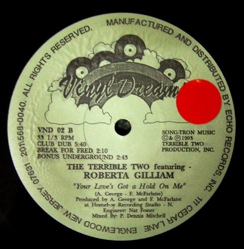 Terrible Two, The Featuring Roberta Gilliam - Your Love's Got A Hold On Me, Electronic, Garage House, House, 1993 - Vinyl Dre