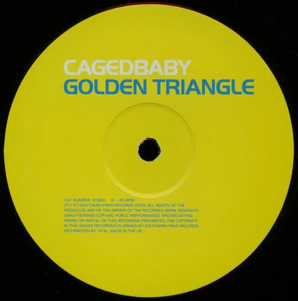 Album cover for 16 Lovers by Cagedbaby