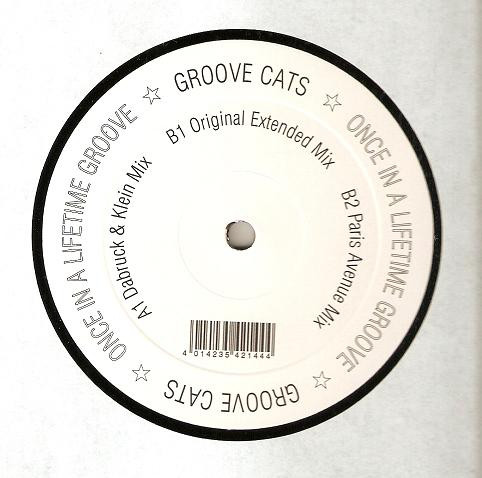 Groove Cats - Once In A Lifetime Groove, Electronic, House, 2006 - Superstar Recordings, Germany, Vinyl 1x 12"