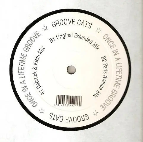 Groove Cats - Once In A Lifetime Groove, Electronic, House, 2006 - Superstar Recordings, Germany, Vinyl 1x 12"