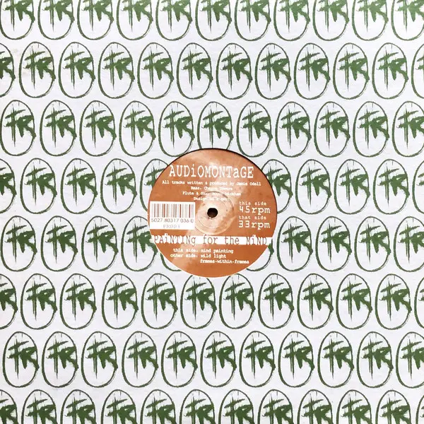 Album cover for Painting For The Mind by Audiomontage