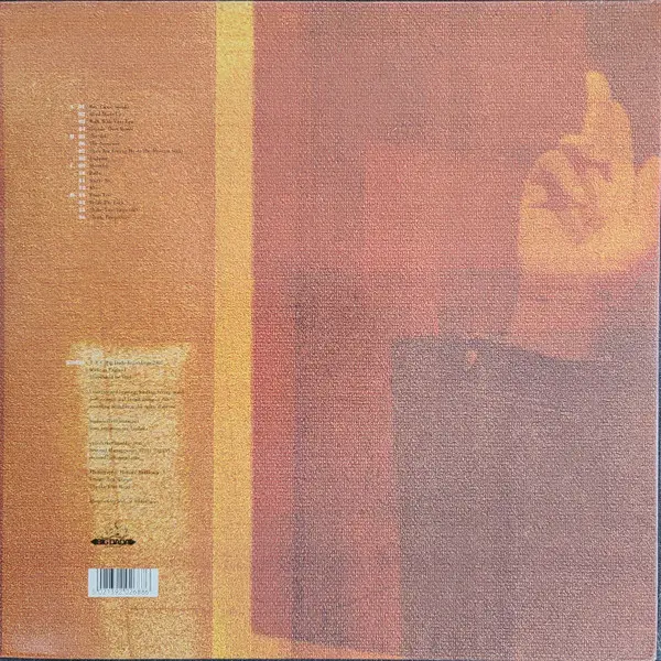 Ty - Awkward, Hip Hop, 2001 - Big Dada Recordings, UK, Vinyl 2x LP, Album Gatefold