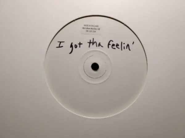 I Got Tha Feelin'