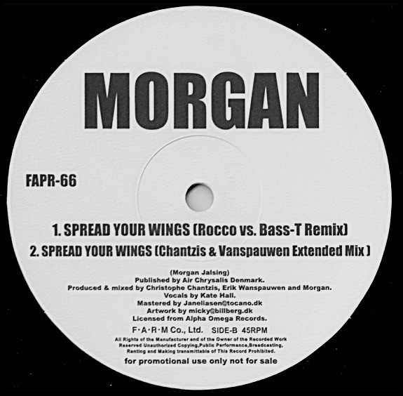Morgan Jalsing - Spread Your Wings, Electronic, Euro House, Trance, 2005 - Farm Records, Japan, Vinyl 1x 12", 45 RPM, Promo