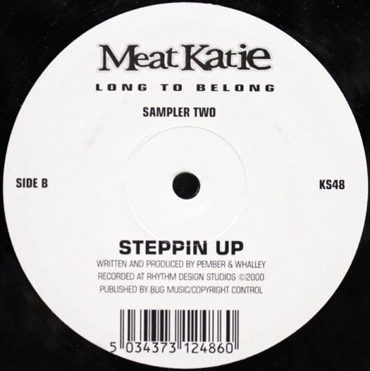 Meat Katie - Long To Belong (Sampler Two), Electronic, Breakbeat, Downtempo, Tech House, 2000 - Kingsize, UK, Vinyl 1x 12", S