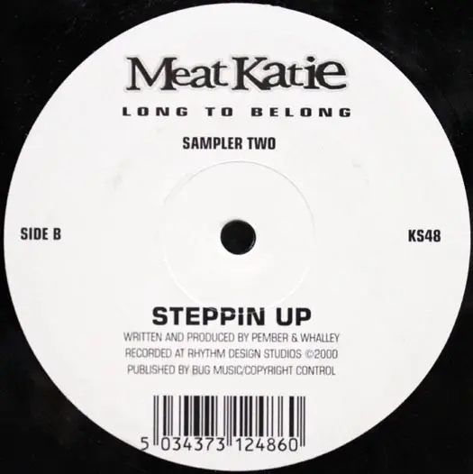 Meat Katie - Long To Belong (Sampler Two), Electronic, Breakbeat, Downtempo, Tech House, 2000 - Kingsize, UK, Vinyl 1x 12", S