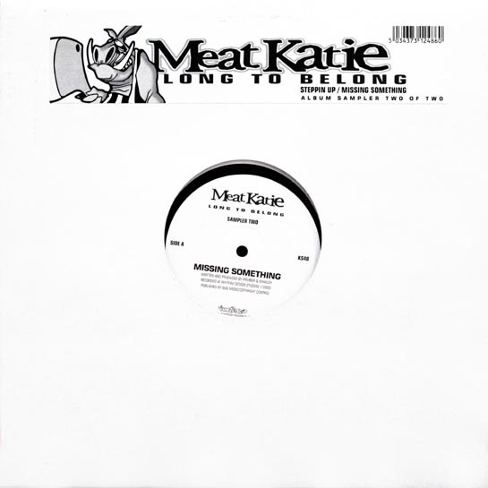 Long To Belong (Sampler Two)