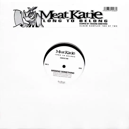 Long To Belong (Sampler Two)