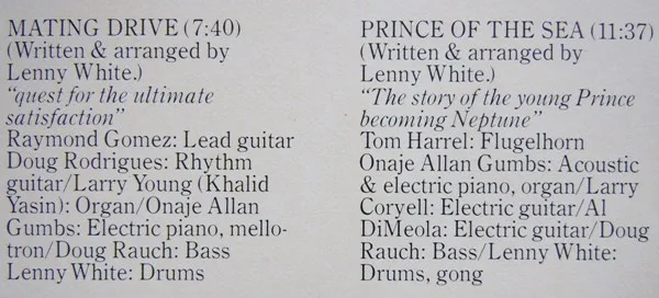 Album cover for Venusian Summer by Lenny White