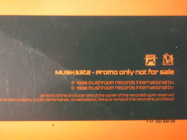 Christian Fry - You Got Me, Electronic, Pop, Europop, House, 1998 - Mushroom, UK, Vinyl 1x 12", Promo