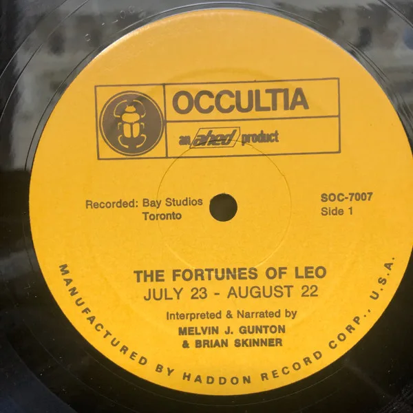 Album cover for The Fortunes Of Leo by Melvin J. Gunton, Brian Skinner (4)