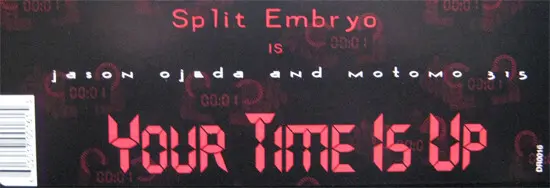 Split Embryo - Your Time Is Up, Electronic, House, 1998 - Deeper Rekords NYC, US, Vinyl 1x 12"