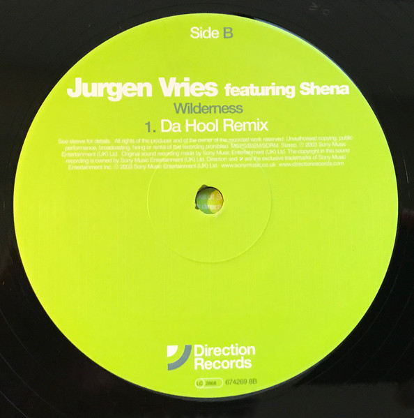Jurgen Vries Featuring Shena - Wilderness, Electronic, Progressive Trance, Trance, 2003 - Direction Records, UK, Vinyl 1x 12"