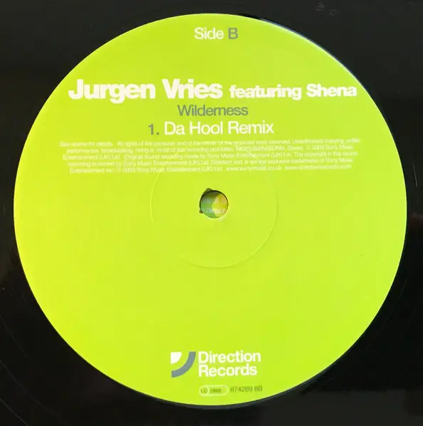 Jurgen Vries Featuring Shena - Wilderness, Electronic, Progressive Trance, Trance, 2003 - Direction Records, UK, Vinyl 1x 12"