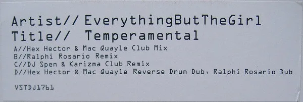 Album cover for Temperamental by Everything But The Girl