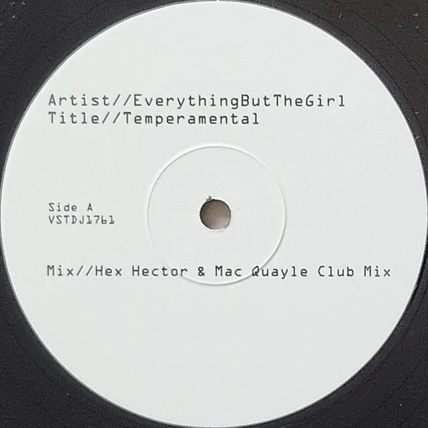 Album cover for Temperamental by Everything But The Girl