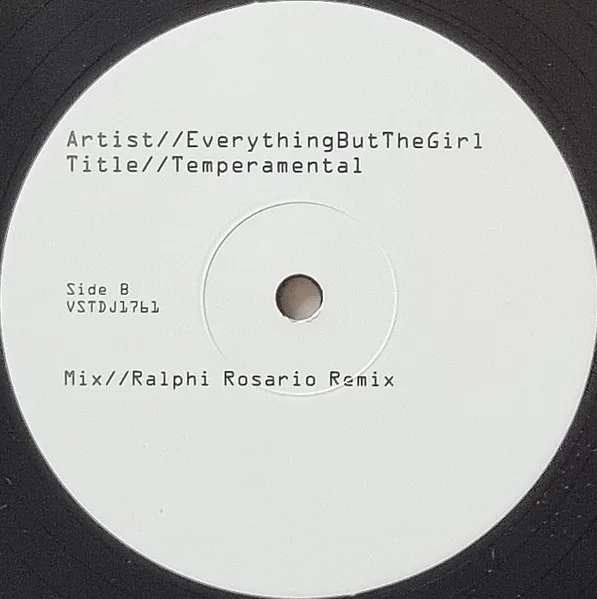 Album cover for Temperamental by Everything But The Girl