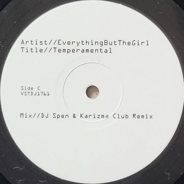 Album cover for Temperamental by Everything But The Girl