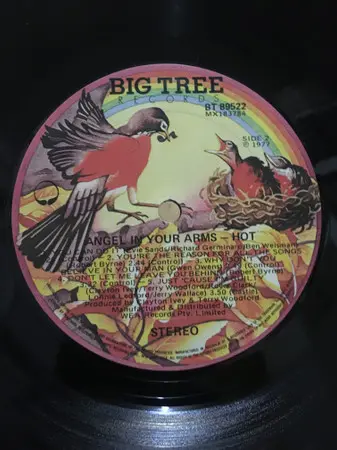 Hot - Hot, Funk / Soul, Pop, Rock, Ballad, Disco, Soft Rock, Soul, Vocal, 1977 - Big Tree Records, Australia, Vinyl 1x LP, Al