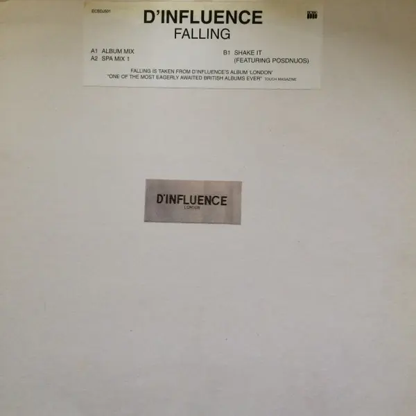 Album cover for Falling by D'Influence