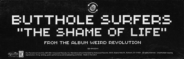 Butthole Surfers - The Shame Of Life, Electronic, Rock, Alternative Rock, Trip Hop, 2001 - Hollywood Records, US, Vinyl 1x 12