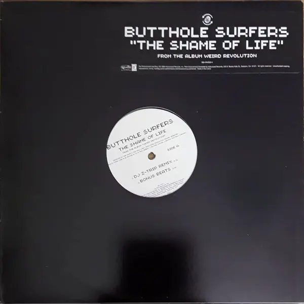 The Shame Of Life