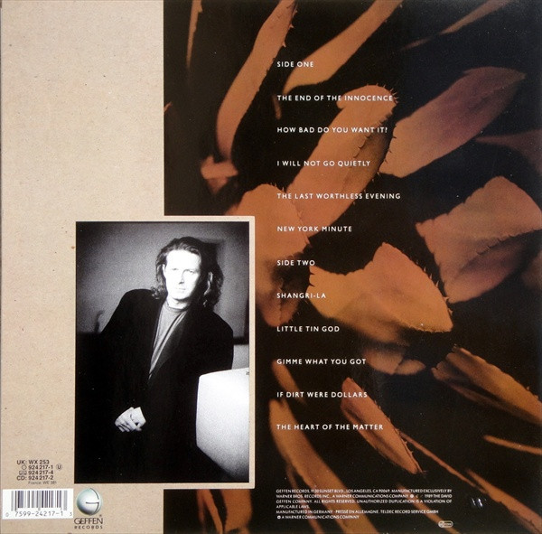 Don Henley - The End Of The Innocence - 1989 -Pop Rock -Geffen Records, Warner Bros. Records -Vinyl 1x LP, Album Alsdorf Pres