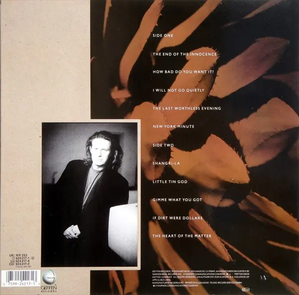 Don Henley - The End Of The Innocence - 1989 -Pop Rock -Geffen Records, Warner Bros. Records -Vinyl 1x LP, Album Alsdorf Pres