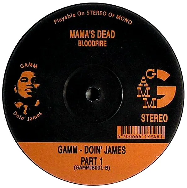 Album cover for GAMM - Doin' James Part 1 by Various