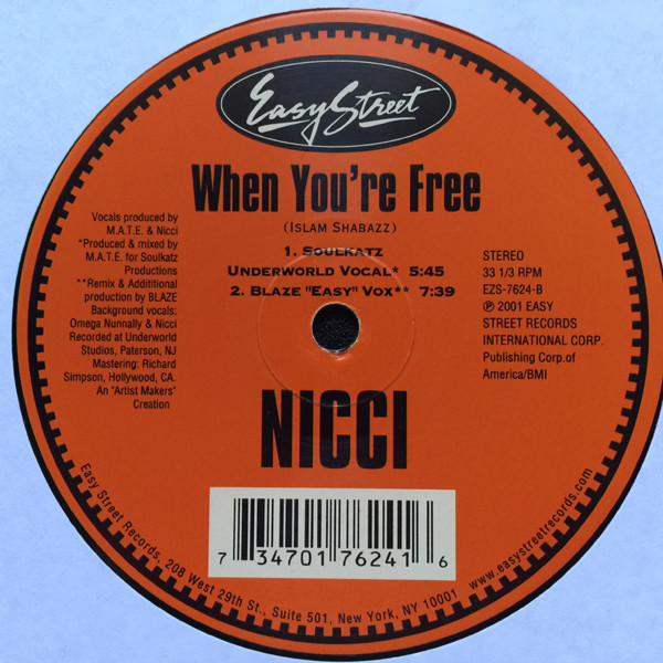 Nicci - When You're Free, Electronic, Garage House, House, 2001 - Easy Street Records, US, Vinyl 1x 12", 33 ⅓ RPM