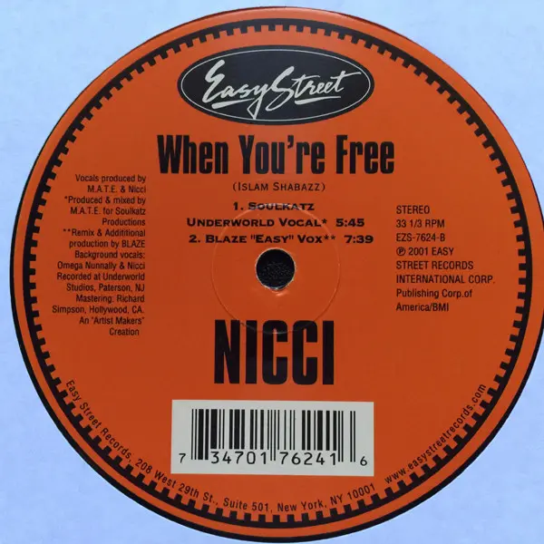 Nicci - When You're Free, Electronic, Garage House, House, 2001 - Easy Street Records, US, Vinyl 1x 12", 33 ⅓ RPM