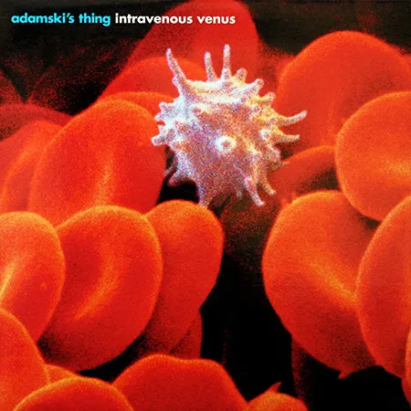Intravenous Venus