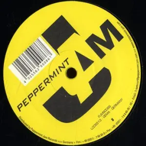Paul C (2) - Twisted, Electronic, Electro, House, 2005 - Peppermint Jam, Germany, Vinyl 1x 12"