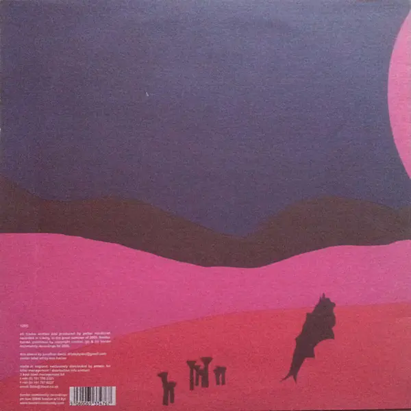 Petter (5) - Some Polyphony, Electronic, Ambient, Electro, Experimental, Tech House, 2006 - Border Community, UK, Vinyl 1x 12
