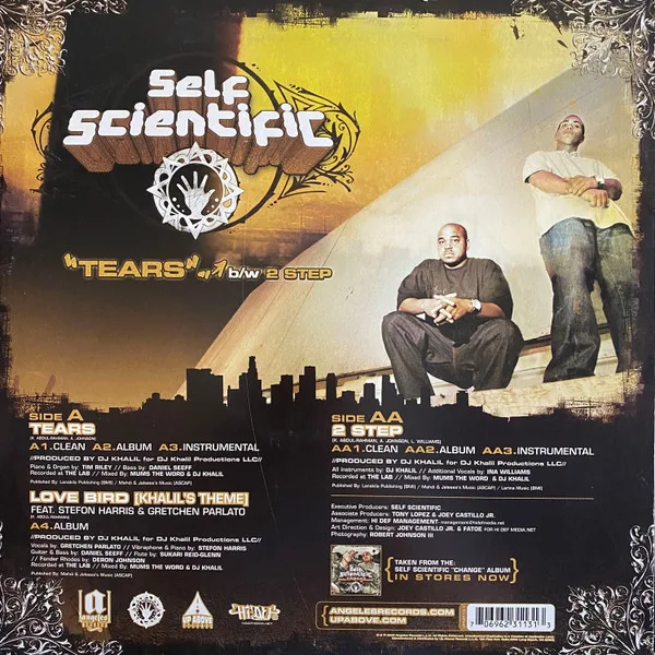 Album cover for Tears / 2 Step by Self Scientific