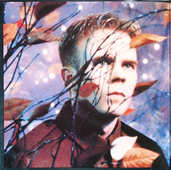 Album cover for Wild! by Erasure