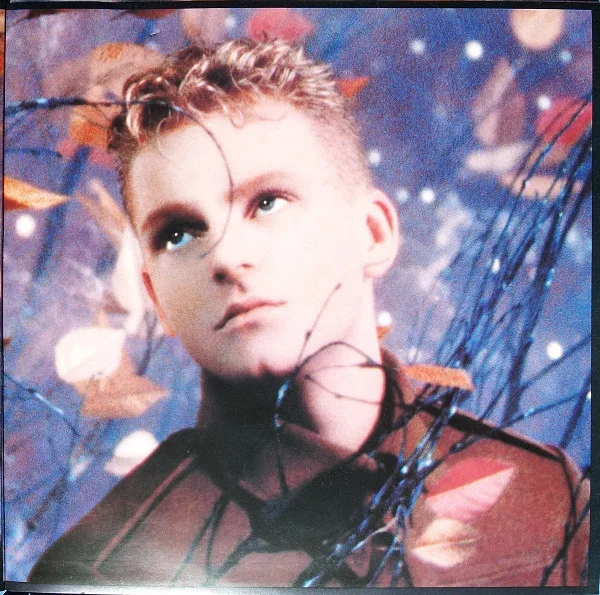 Album cover for Wild! by Erasure