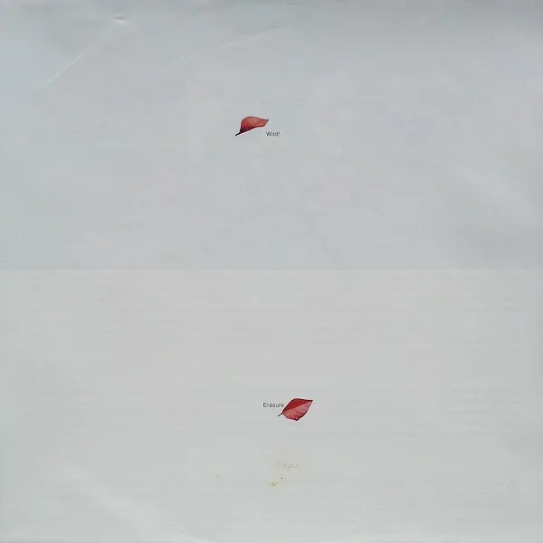 Album cover for Wild! by Erasure