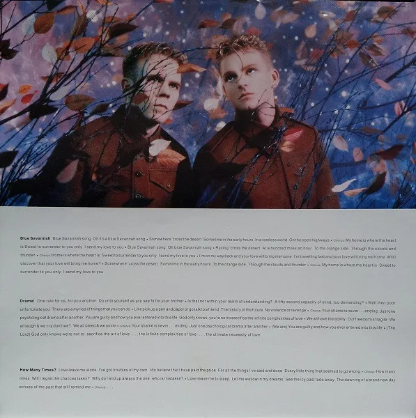 Album cover for Wild! by Erasure